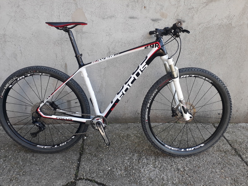 focus raven 29er